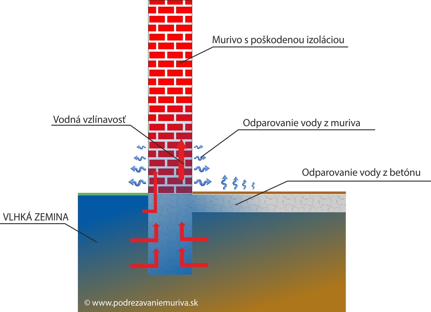 vlhnutie stien murov podrezanie plesne